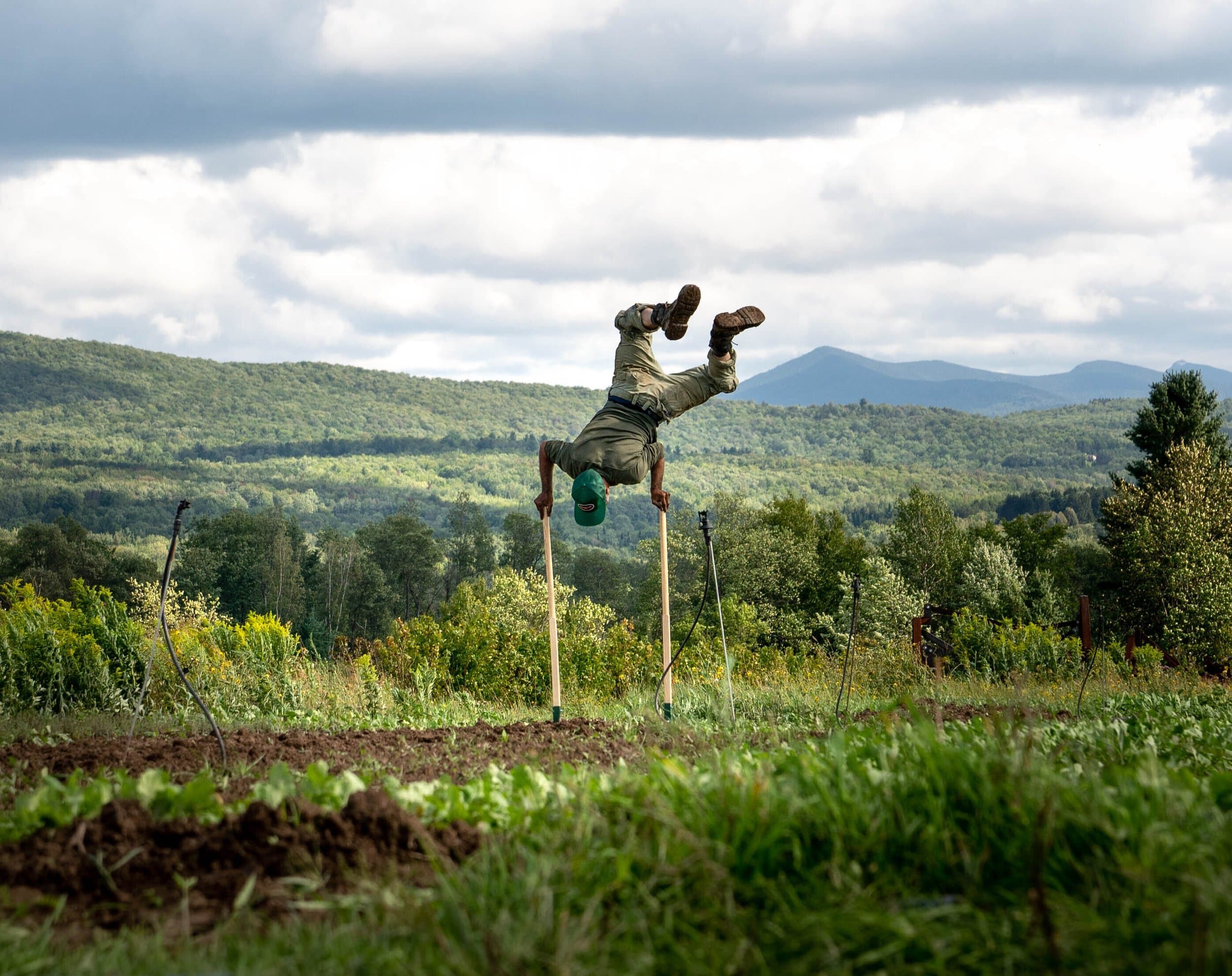 Fermier sur une ferme maraîchère avec les montagnes en arrière-plan